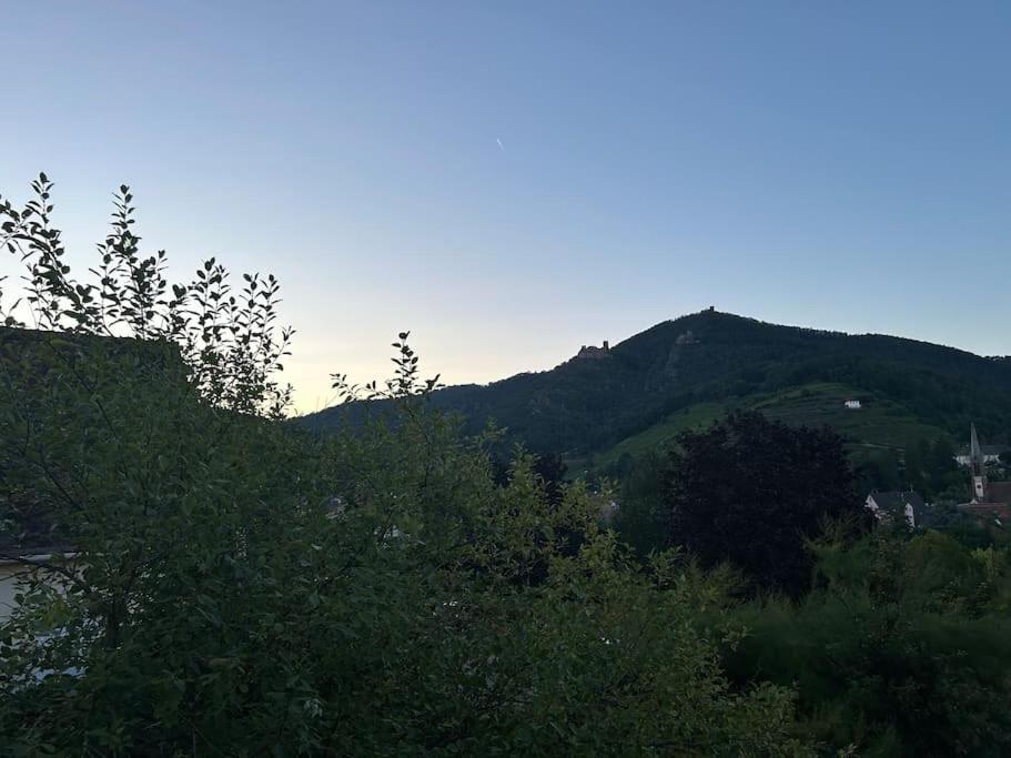 Vue Magnifique Sur Les Chateaux Ribeauvillé Exterior foto